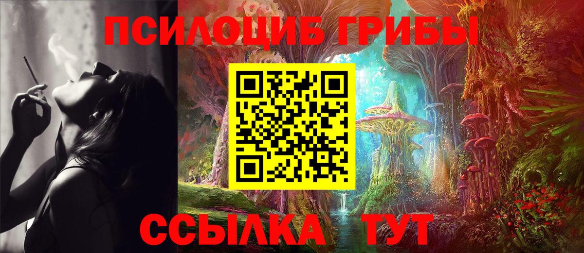 Галлюциногенные грибы прущие грибы Верхняя Пышма