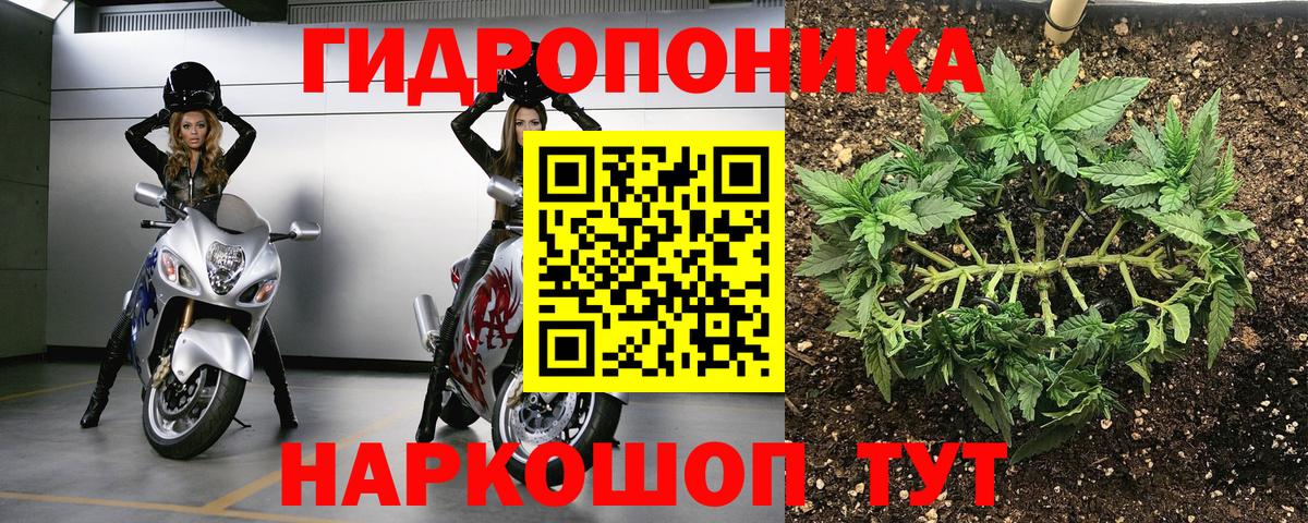 Верхняя Пышма  Конопля планчик  Вход с VPN  Шишки марихуана White Widow 